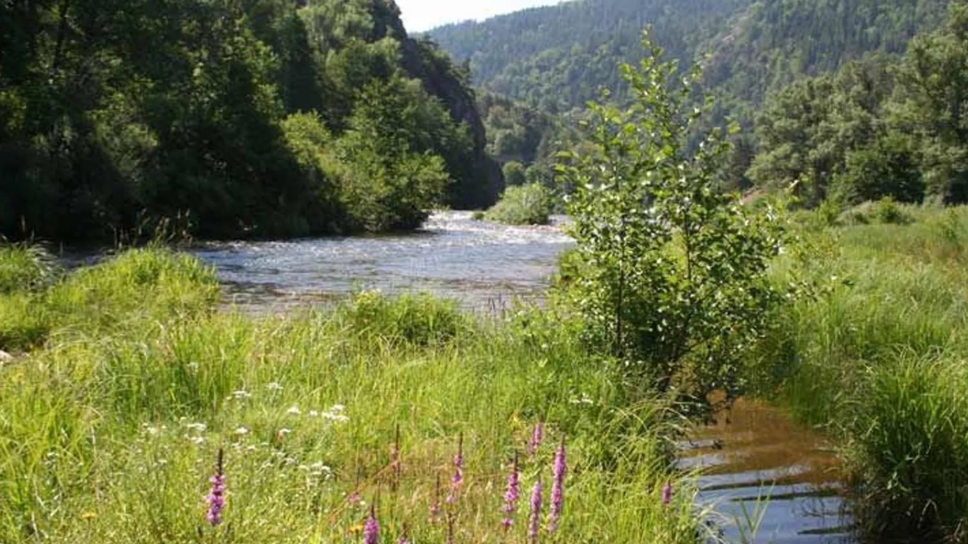 Holiday home Maison Familiale Avec Terrasse, Grand Terrain Et Proche De La Riviere - Alleyras, 6 Pers. - Fr-1-582-244